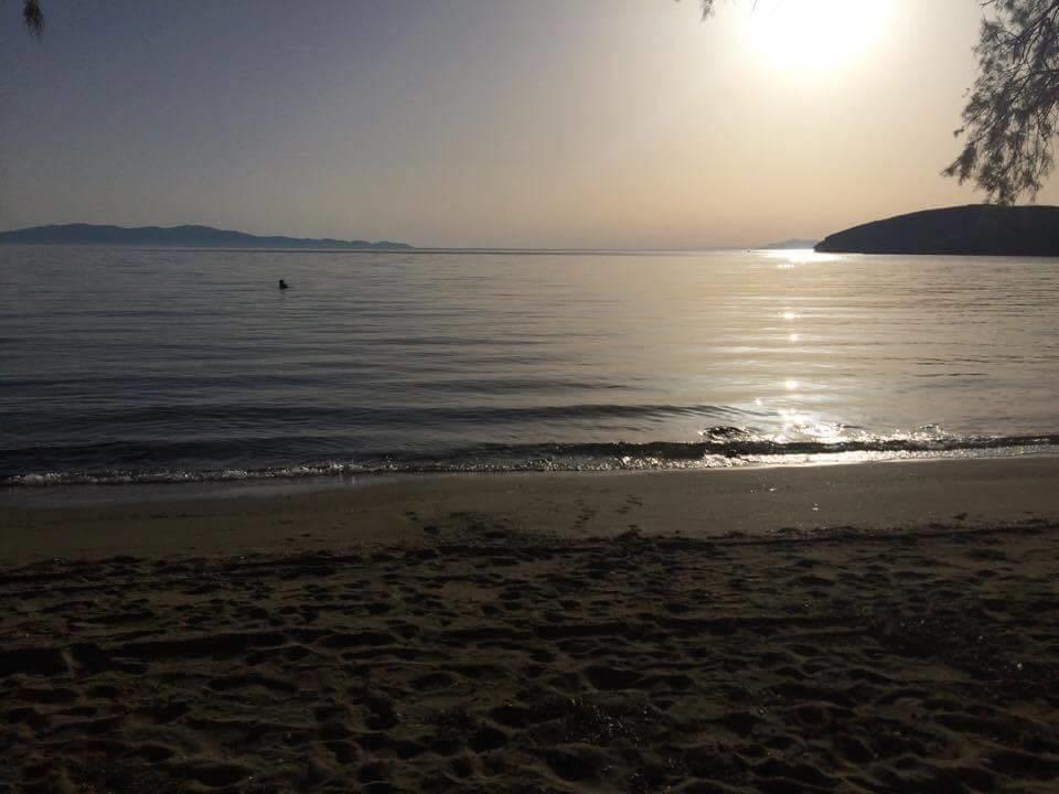 Elia Apartments Agios Romanos Luaran gambar