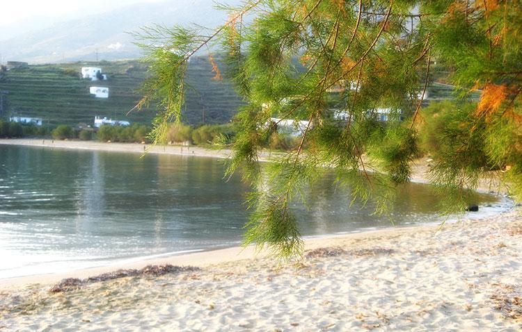 Elia Apartments Agios Romanos Luaran gambar
